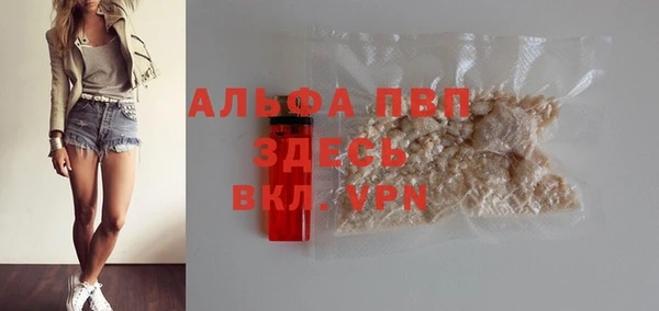 гидра Переславль-Залесский