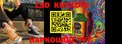 прущие грибы Кингисепп