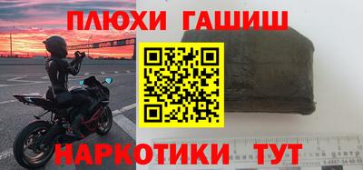 прущие грибы Кингисепп