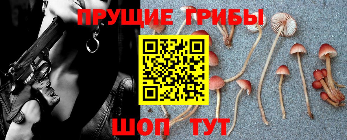 Галлюциногенные грибы MAGIC MUSHROOMS  Вход с VPN  Светлоград 