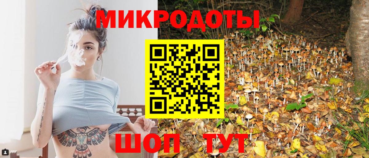 Псилоцибиновые грибы мицелий  Светлоград 